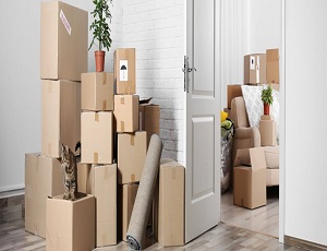 Domestic Moving Service